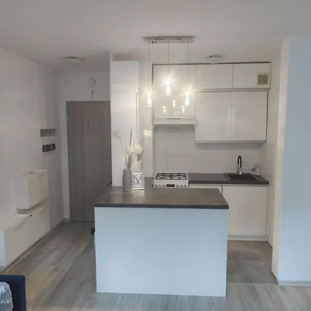 Mieszkanie Centrum * 쿠드즈코