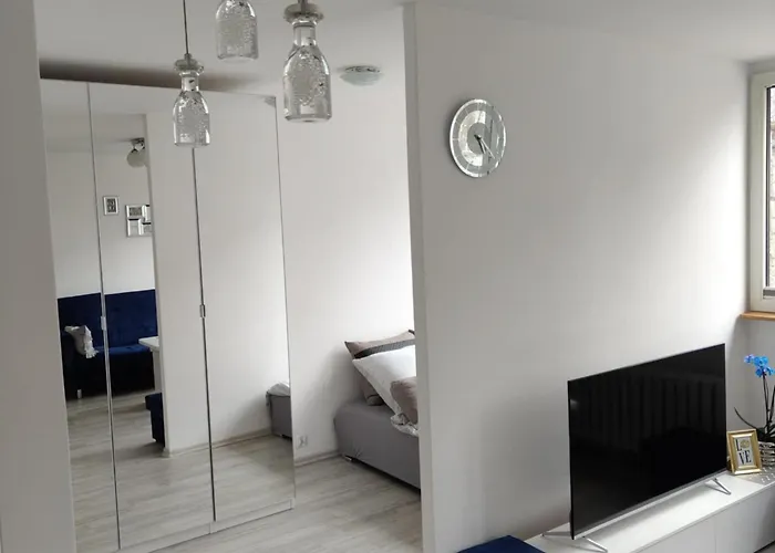 Mieszkanie Centrum Apartment *